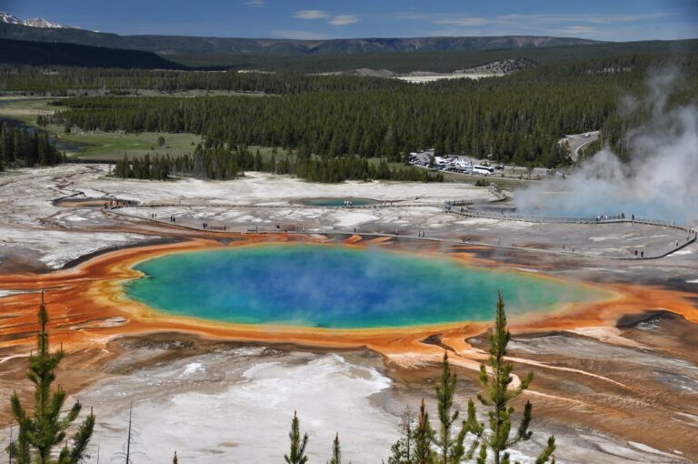 Yellowstone eruption effects