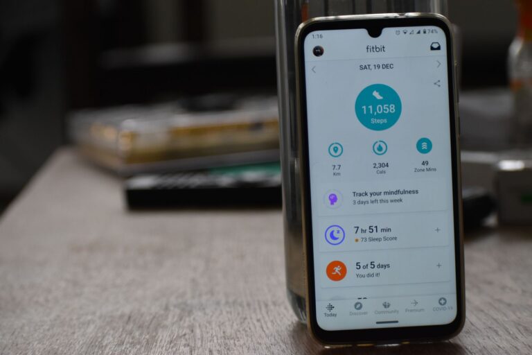 Google Fitbit Edge