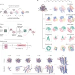Open Protein Design Model