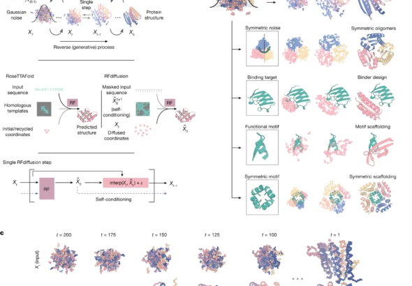 Open Protein Design Model