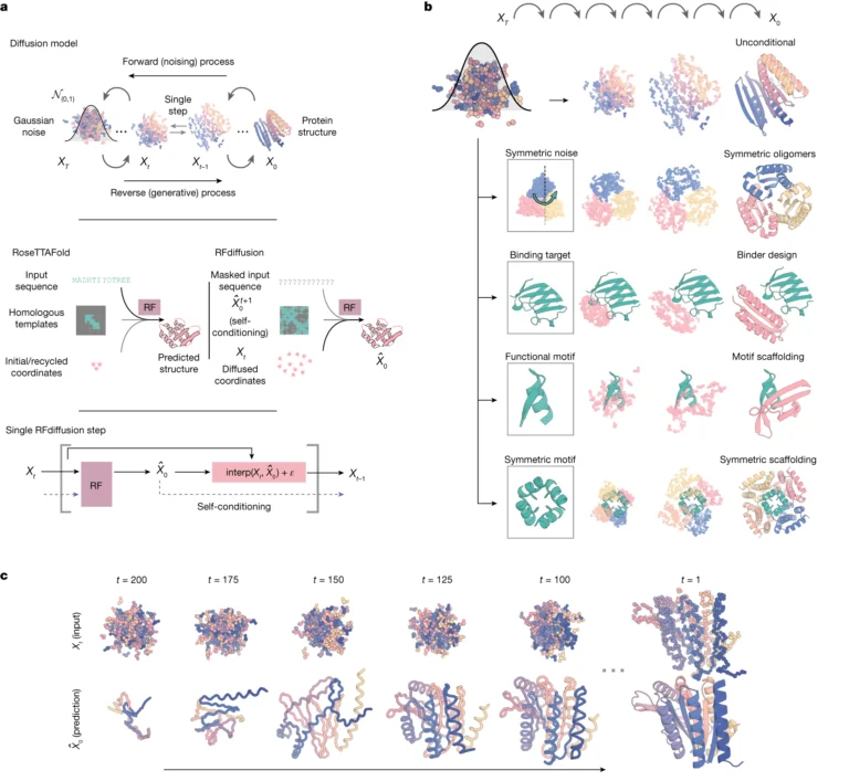 Open Protein Design Model