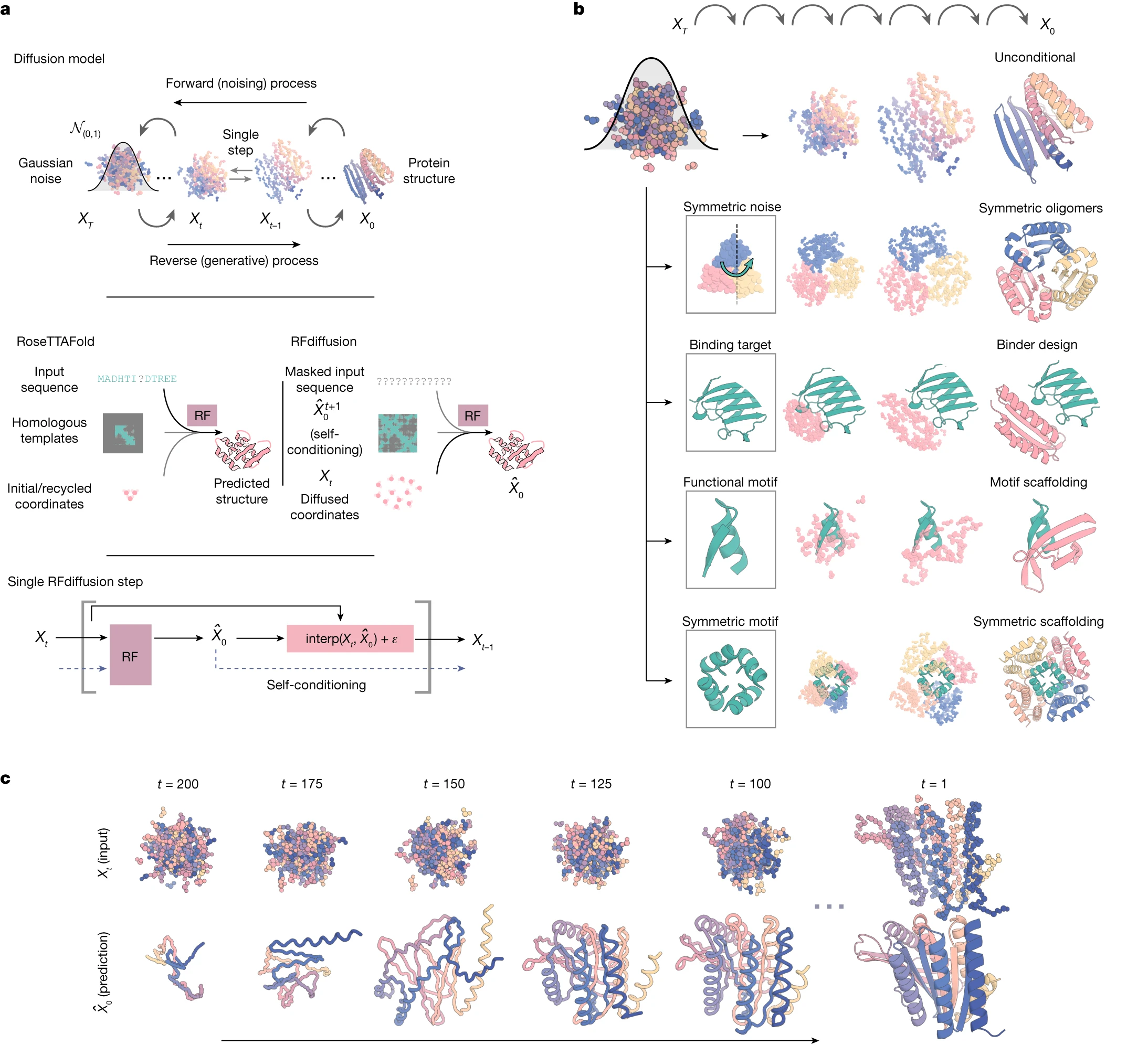 Open Protein Design Model
